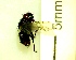  ( - IAvH-TRI-MAL221-DIP-0115.3)  @11 [ ] Copyright (2023) Instituto de Investigacion Alexander von Humboldt (IAvH) Instituto de Investigacion Alexander von Humboldt (IAvH)