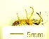  ( - IAvH-TRI-MAL222-HEM-0158)  @11 [ ] Copyright (2023) Instituto de Investigacion Alexander von Humboldt (IAvH) Instituto de Investigacion Alexander von Humboldt (IAvH)