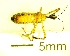  ( - IAvH-TRI-MAL222-HEM-0158)  @11 [ ] Copyright (2023) Instituto de Investigacion Alexander von Humboldt (IAvH) Instituto de Investigacion Alexander von Humboldt (IAvH)