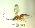  ( - IAvH-TRI-MAL224-HYM-0100.4)  @11 [ ] Copyright (2023) Instituto de Investigacion Alexander von Humboldt (IAvH) Instituto de Investigacion Alexander von Humboldt (IAvH)