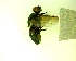  ( - IAvH-TRI-MAL241-DIP-0104.2)  @11 [ ] Copyright (2023) Instituto de Investigacion Alexander von Humboldt (IAvH) Instituto de Investigacion Alexander von Humboldt (IAvH)
