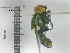  ( - IAvH-TRI-DIPG669)  @11 [ ] Copyright (c) (2022) Wilber Lopez Instituto de Investigaciones Alexander von Humboldt (IAvH)