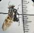  ( - IAvH-TRI-DIPG979)  @11 [ ] Copyright (c) (2022) Wilber Lopez Instituto de Investigaciones Alexander von Humboldt (IAvH)