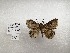 ( - IAvH-TRI-NAS0122)  @11 [ ] Copyright (2022) Instituto de Investigacion Alexander von Humboldt (IAvH) Instituto de Investigacion Alexander von Humboldt (IAvH)