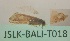  ( - JSLK-BALI-T018)  @11 [ ] by-nc (2020) Juha Salokannel University of Oulu