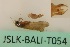  ( - JSLK-BALI-T054)  @11 [ ] by-nc (2020) Juha Salokannel University of Oulu