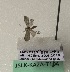  ( - JSLK-KAZA-T104)  @11 [ ] CreativeCommons - Attribution Non-Commercial (2019) Juha Salokannel University of Oulu