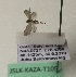  ( - JSLK-KAZA-T105)  @11 [ ] CreativeCommons - Attribution Non-Commercial (2019) Juha Salokannel University of Oulu