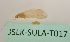  ( - JSLK-SULA-T017)  @11 [ ] by-nc (2020) Juha Salokannel University of Oulu