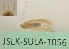  ( - JSLK-SULA-T056)  @11 [ ] by-nc (2020) Juha Salokannel University of Oulu