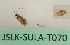  ( - JSLK-SULA-T070)  @11 [ ] by-nc (2020) Juha Salokannel University of Oulu