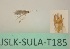  ( - JSLK-SULA-T185)  @11 [ ] by-nc (2020) Juha Salokannel University of Oulu