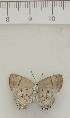  ( - MJC_588)  @11 [ ] CC-BY-NC (2023) J. Morrall Unspecified