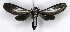  ( - MJC_720)  @11 [ ] CC-BY-NC (2024) Matthew J.W. Cock Unspecified