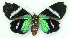  ( - MJC_734)  @11 [ ] CC-BY-NC (2024) Matthew J.W. Cock Unspecified