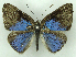  ( - MJC_736)  @11 [ ] CC-BY-NC (2024) Matthew J.W. Cock Unspecified