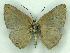  ( - MJC_736)  @11 [ ] CC-BY-NC (2024) Matthew J.W. Cock Unspecified