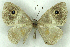  ( - MJC_806)  @11 [ ] CC-BY-NC (2024) Matthew J.W. Cock Unspecified