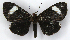  ( - MJC_297)  @11 [ ] CC-BY-NC (2021) Matthew J.W. Cock Revert to BOLD