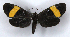  ( - MC_378)  @11 [ ] CC-BY-NC (2021) M.J.W. Cock Unspecified