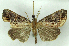  ( - MJC_679)  @11 [ ] Unspecified (default): All Rights Reserved  Unspecified Unspecified