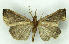  ( - MJC_679)  @11 [ ] Unspecified (default): All Rights Reserved  Unspecified Unspecified