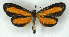  ( - MJC_681)  @11 [ ] Unspecified (default): All Rights Reserved  Unspecified Unspecified