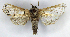  ( - MJC_691)  @11 [ ] Unspecified (default): All Rights Reserved  Unspecified Unspecified