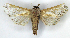  ( - MJC_691)  @11 [ ] Unspecified (default): All Rights Reserved  Unspecified Unspecified