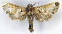  ( - MJC_692)  @11 [ ] Unspecified (default): All Rights Reserved  Unspecified Unspecified