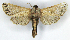  ( - MJC_692)  @11 [ ] Unspecified (default): All Rights Reserved  Unspecified Unspecified
