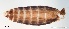  ( - TPI:ENT:#0000155)  @12 [ ] Copyright (2014) Lara E. Harrup The Pirbright Institute, Ash Road, Pirbright, Woking, Surrey, GU240NF, UK