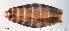  ( - TPI:ENT:#0000156)  @12 [ ] Copyright (2014) Lara E. Harrup The Pirbright Institute, Ash Road, Pirbright, Woking, Surrey, GU240NF, UK