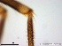  ( - TPI:ENT:#0000158)  @12 [ ] Copyright (2014) Lara E. Harrup The Pirbright Institute, Ash Road, Pirbright, Woking, Surrey, GU240NF, UK