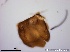  ( - TPI:ENT:#0000167)  @12 [ ] Copyright (2014) Lara E. Harrup The Pirbright Institute, Ash Road, Pirbright, Woking, Surrey, GU240NF, UK