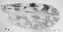  ( - TPI:ENT:#0000167)  @12 [ ] Copyright (2014) Lara E. Harrup The Pirbright Institute, Ash Road, Pirbright, Woking, Surrey, GU240NF, UK