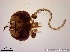  ( - TPI:ENT:#0000169)  @11 [ ] Copyright (2014) Lara E. Harrup The Pirbright Institute, Ash Road, Pirbright, Woking, Surrey, GU240NF, UK