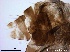  ( - TPI:ENT:#0000169)  @11 [ ] Copyright (2014) Lara E. Harrup The Pirbright Institute, Ash Road, Pirbright, Woking, Surrey, GU240NF, UK