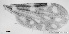  ( - TPI:ENT:#0000169)  @11 [ ] Copyright (2014) Lara E. Harrup The Pirbright Institute, Ash Road, Pirbright, Woking, Surrey, GU240NF, UK