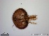  ( - TPI:ENT:#0000170)  @12 [ ] Copyright (2014) Lara E. Harrup The Pirbright Institute, Ash Road, Pirbright, Woking, Surrey, GU240NF, UK