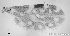  ( - TPI:ENT:#0000170)  @12 [ ] Copyright (2014) Lara E. Harrup The Pirbright Institute, Ash Road, Pirbright, Woking, Surrey, GU240NF, UK