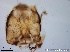  ( - TPI:ENT:#0000171)  @12 [ ] Copyright (2014) Lara E. Harrup The Pirbright Institute, Ash Road, Pirbright, Woking, Surrey, GU240NF, UK
