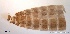  ( - TPI:ENT:#0000185)  @12 [ ] Copyright (2014) Lara E. Harrup The Pirbright Institute, Ash Road, Pirbright, Woking, Surrey, GU240NF, UK