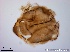  ( - TPI:ENT:#0000185)  @12 [ ] Copyright (2014) Lara E. Harrup The Pirbright Institute, Ash Road, Pirbright, Woking, Surrey, GU240NF, UK