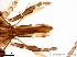  ( - TPI:ENT:#0000185)  @12 [ ] Copyright (2014) Lara E. Harrup The Pirbright Institute, Ash Road, Pirbright, Woking, Surrey, GU240NF, UK