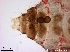  ( - TPI:ENT:#0000191)  @12 [ ] Copyright (2014) Lara E. Harrup The Pirbright Institute, Ash Road, Pirbright, Woking, Surrey, GU240NF, UK