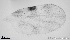  ( - TPI:ENT:#0000191)  @12 [ ] Copyright (2014) Lara E. Harrup The Pirbright Institute, Ash Road, Pirbright, Woking, Surrey, GU240NF, UK