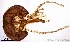  ( - TPI:ENT:#0000197)  @13 [ ] Copyright (2014) Lara E. Harrup The Pirbright Institute, Ash Road, Pirbright, Woking, Surrey, GU240NF, UK