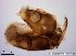  ( - TPI:ENT:#0000197)  @12 [ ] Copyright (2014) Lara E. Harrup The Pirbright Institute, Ash Road, Pirbright, Woking, Surrey, GU240NF, UK