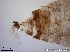  ( - TPI:ENT:#0000197)  @12 [ ] Copyright (2014) Lara E. Harrup The Pirbright Institute, Ash Road, Pirbright, Woking, Surrey, GU240NF, UK